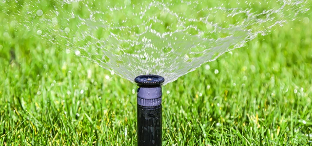 Irrigation sprinkler watering lawn near New Jersey.