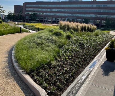 Landscape bed installed for business park in Connecticut.