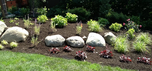 Plantings and mulch added to landscape in New Jersey.