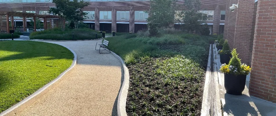 A well-maintained lawn and landscape bed in Alpine, NJ.