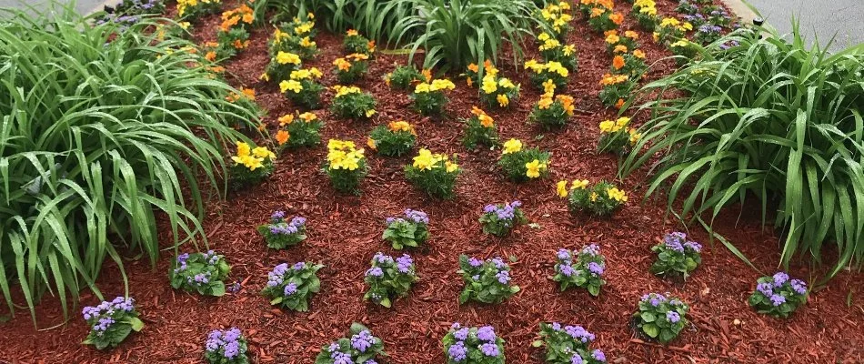 A commercial landscape bed in Alpine, NJ, with various plants and colorful flowers.