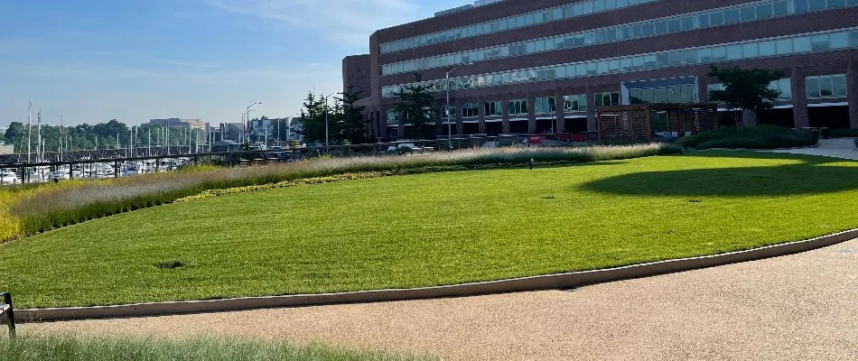 Neat, green lawn in front of a commercial building in Alpine, NJ.