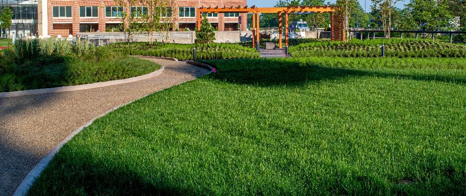 Green lawn on a commercial property in Essex County, NJ.