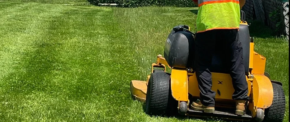 A professional using a commercial mower to mow a lawn in Connecticut.