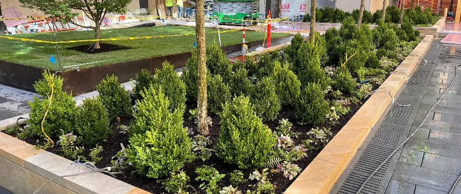 Landscaping for commercial property in Passaic County, NJ.