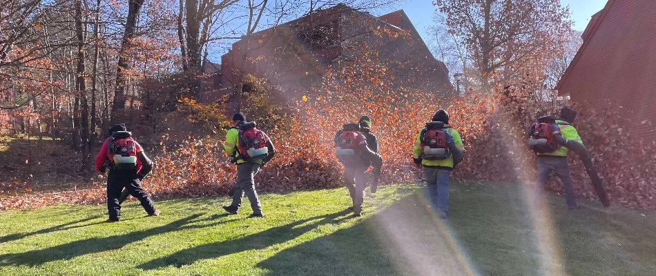 Lawn maintenance blowing fall leaves in Alpine, NJ.