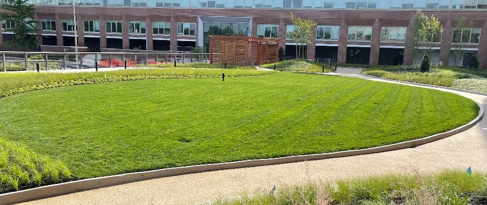 A green lawn with surrounding landscaping in front of a commercial building in Alpine, NJ.