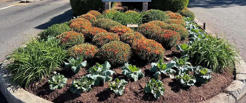 A landscape bed on a commercial property in Clarkstown, NY, with plants.