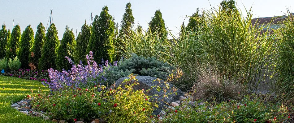 Landscaping with boulder and shrubs in Bergen County, NJ.